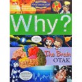 WHY? The Brain
