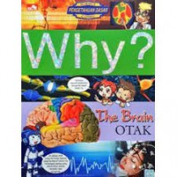 WHY? The Brain