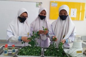 Amalia Dwi Berlianti, Arina Felisia dan Aulia Nabila Syaban, tiga siswi SMA Muhammadiyah 10 GKB Gresik yang baru saja mendapat silver medal berkat inovasi dari bahan daun kelor.(KOMPAS.COM/HAMZAH ARFAH) 